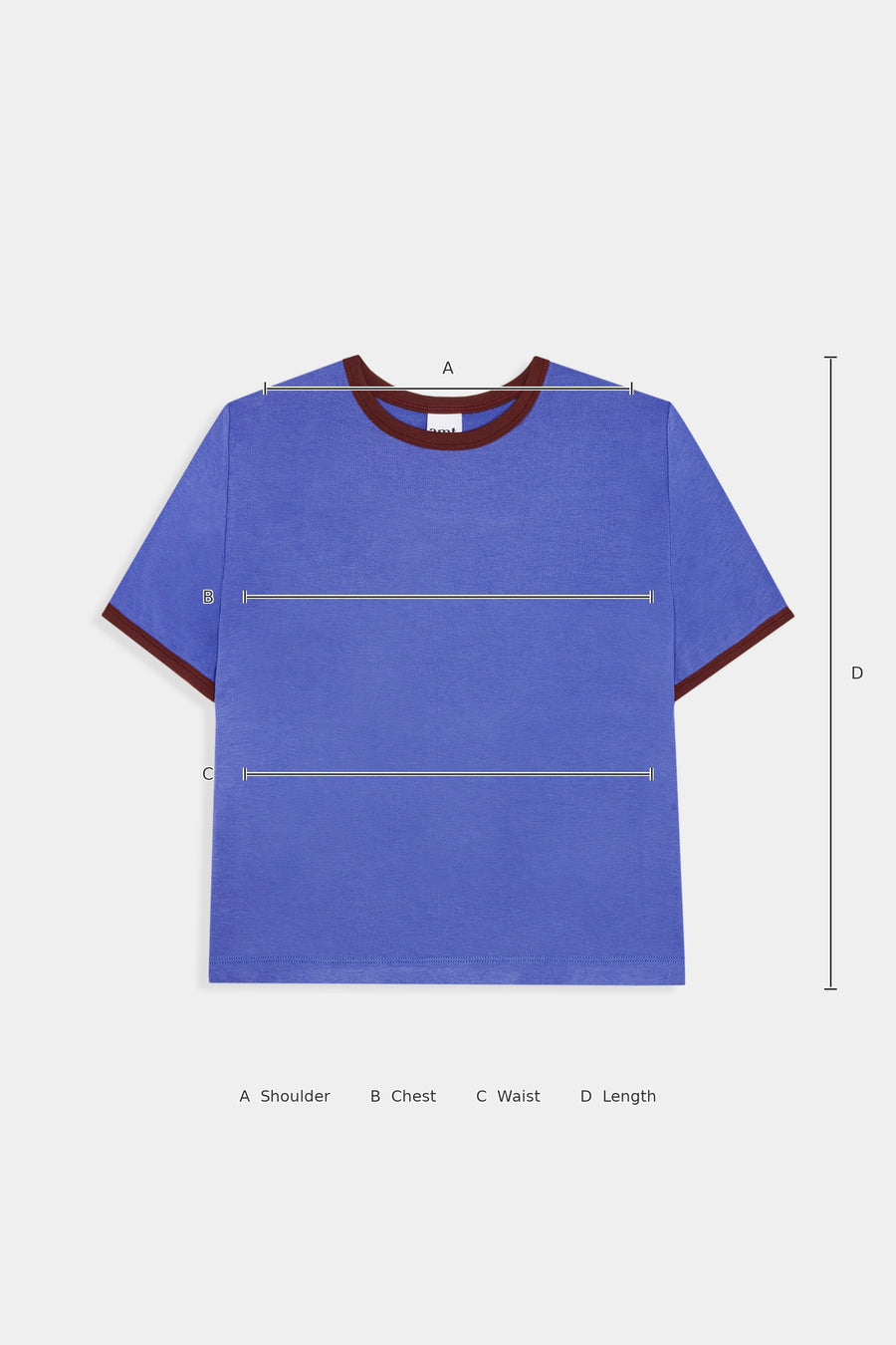 Size Guide – Bean T-shirt